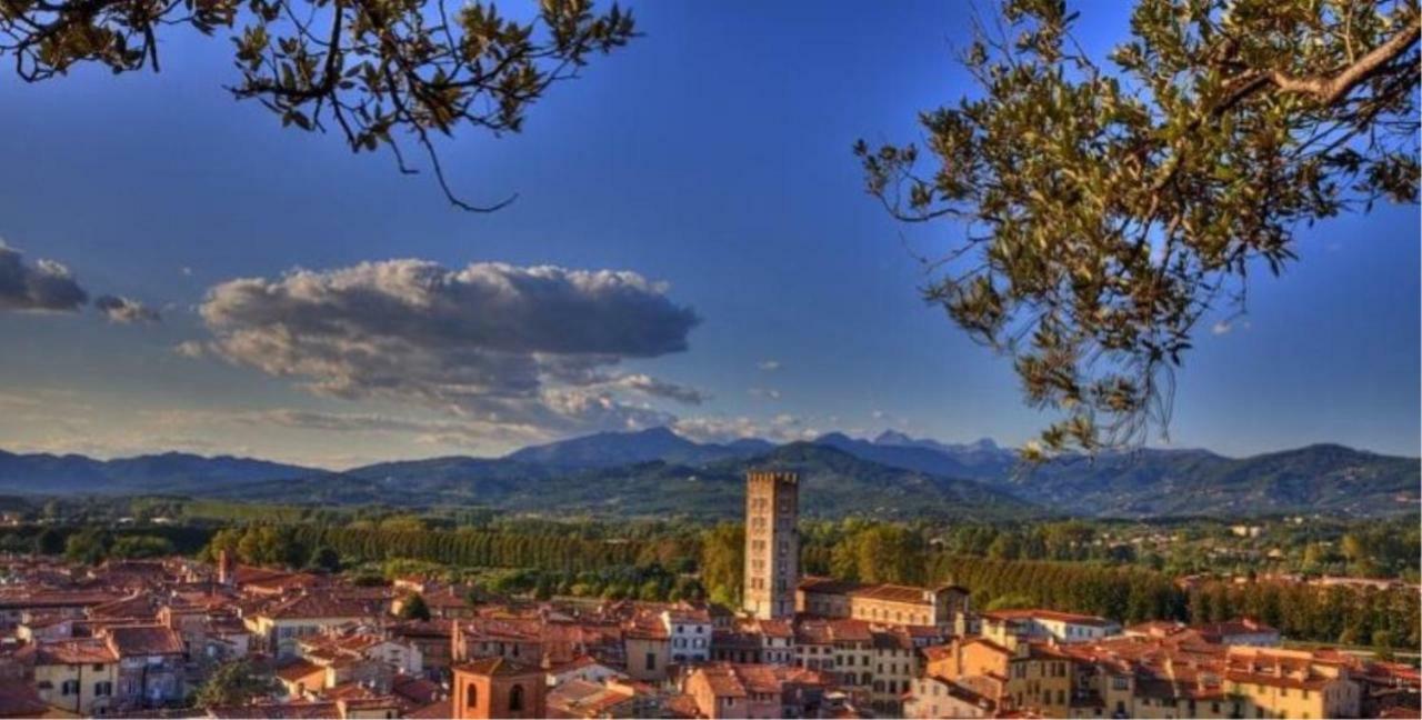 Il Glicine Di Lucca Apartment Екстериор снимка