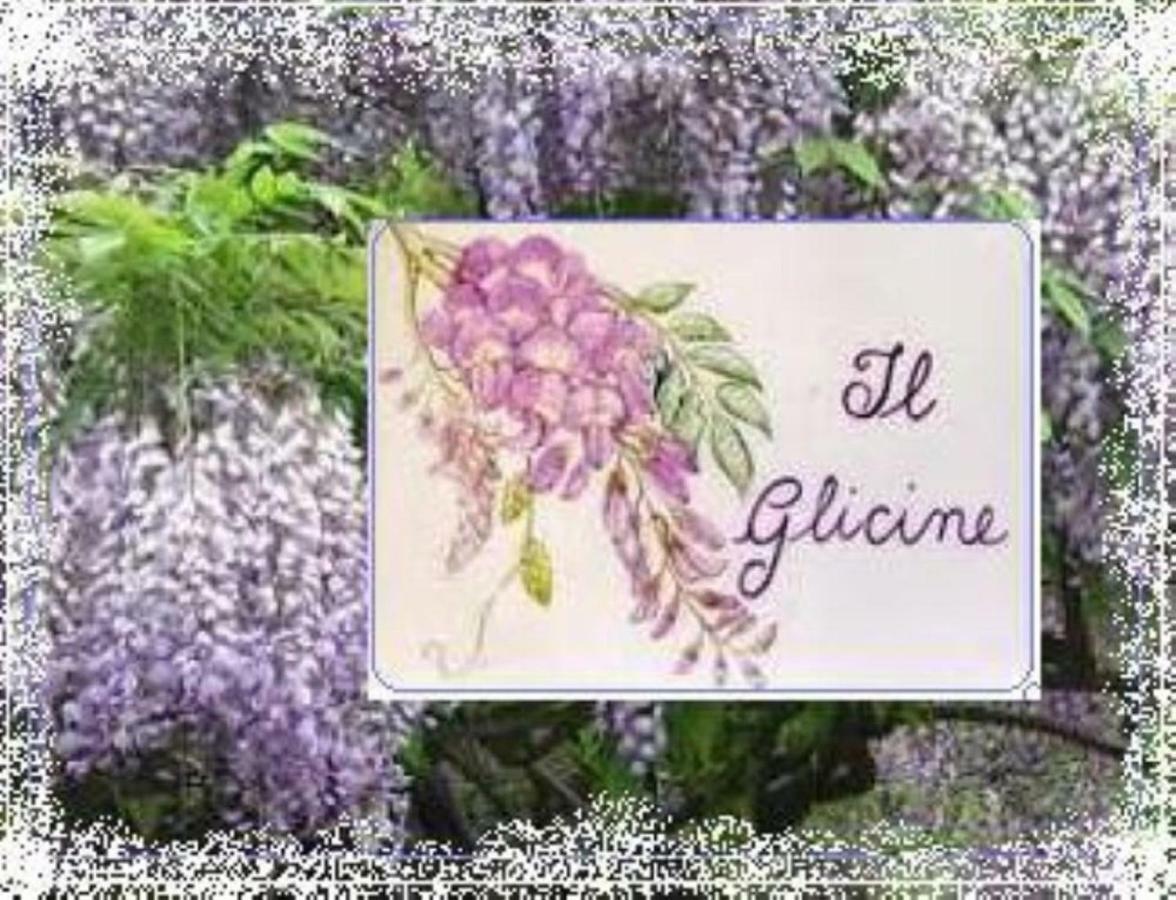 Il Glicine Di Lucca Apartment Екстериор снимка